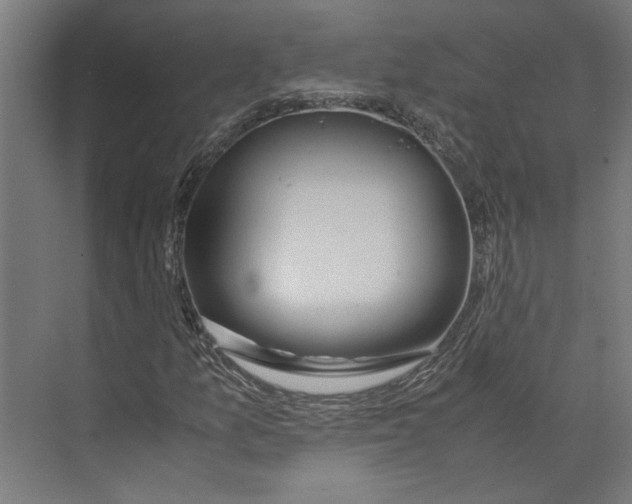 X0000071901157200608041335