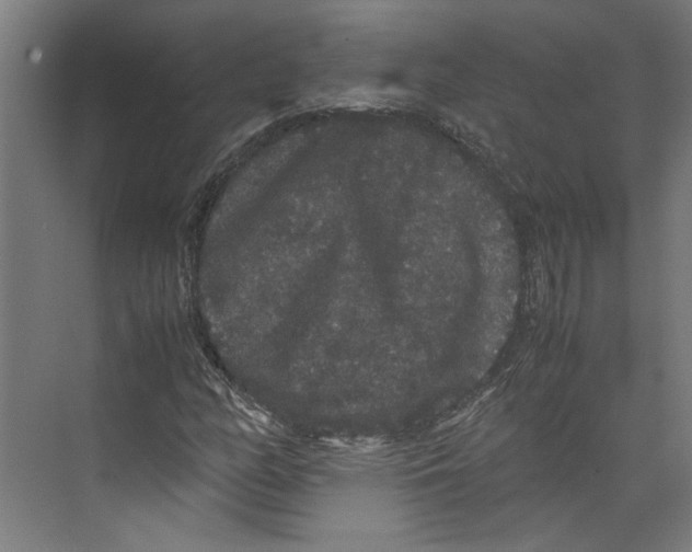 X0000071901158200608041335