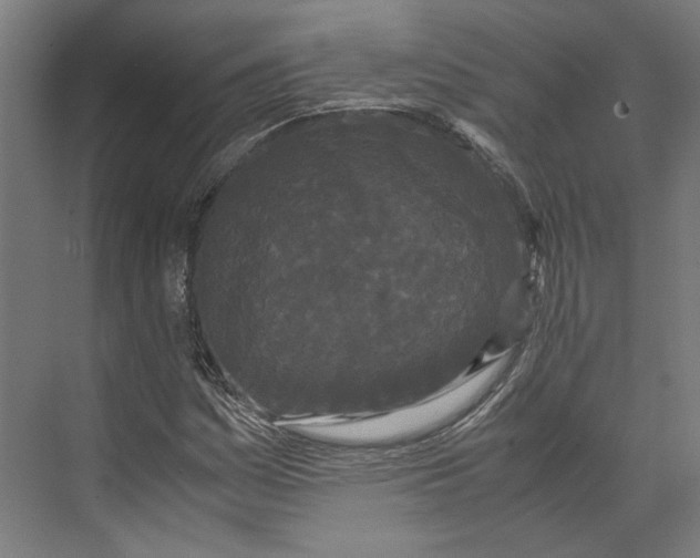 X0000071901161200608041335