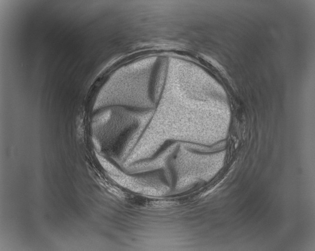 X0000071901163200608041335