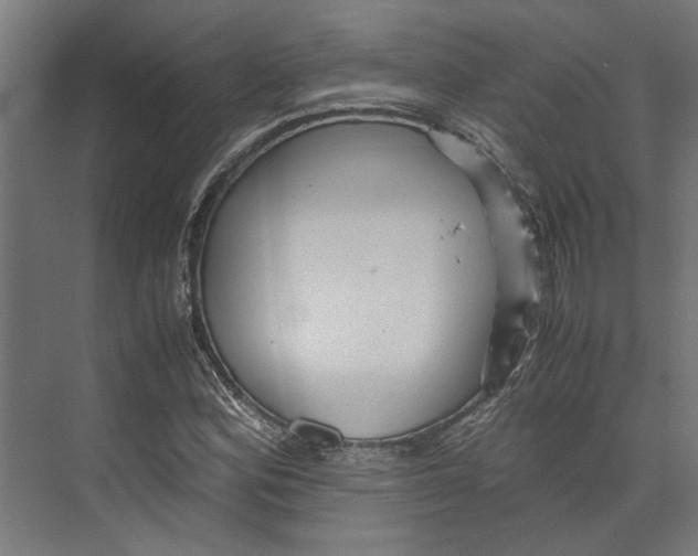 X0000071901164200608041335