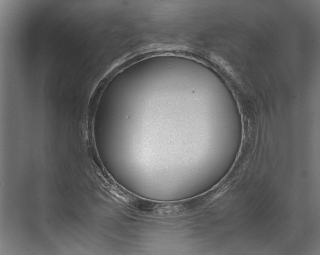 X0000071901165200608041335