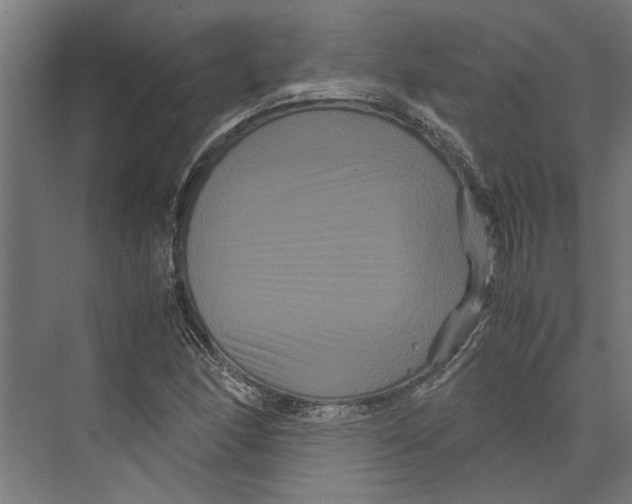 X0000071901166200608041335