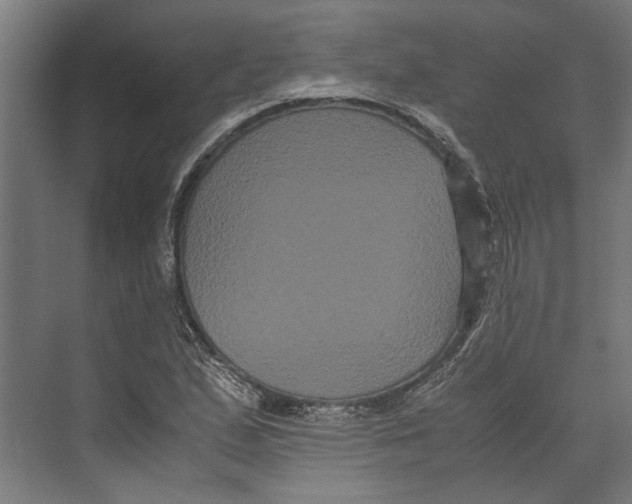 X0000071901167200608041335