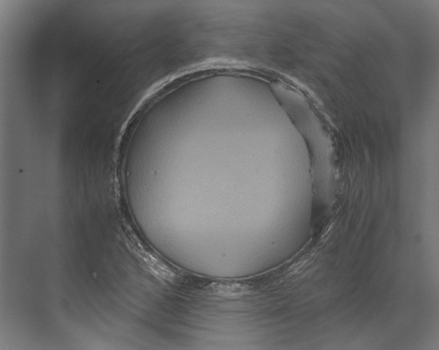 X0000071901168200608041335