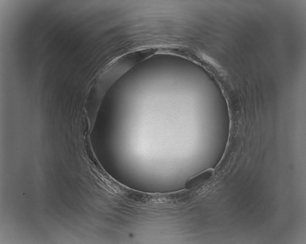 X0000071901169200608041335