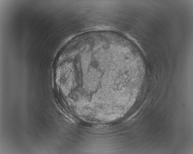 X0000071901171200608041335