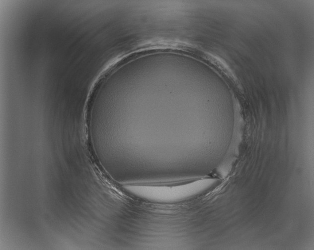 X0000071901172200608041335