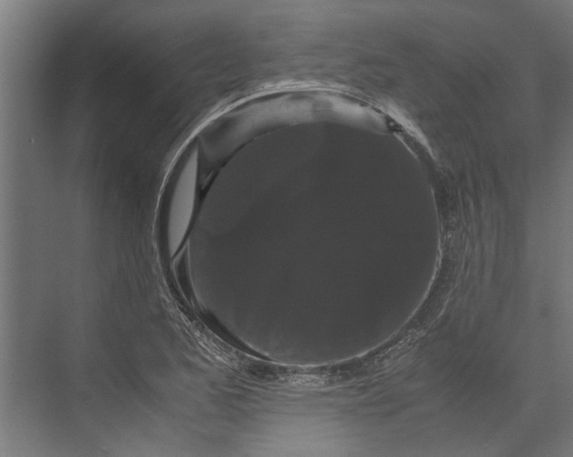 X0000071901173200608041335