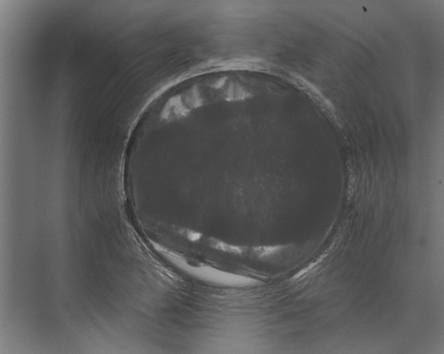 X0000071901174200608041335