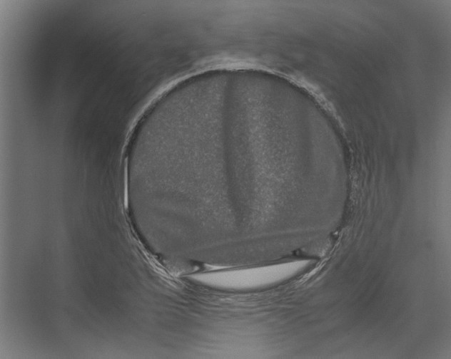 X0000071901175200608041335