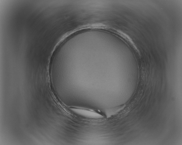 X0000071901176200608041335