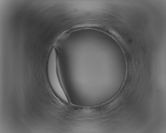 X0000071901177200608041335