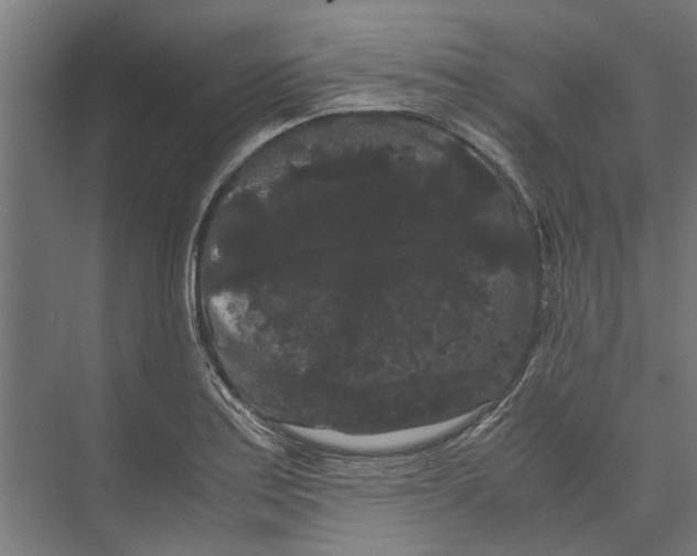 X0000071901179200608041335