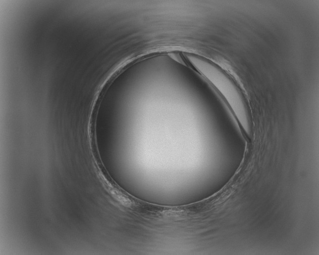 X0000071901181200608041335