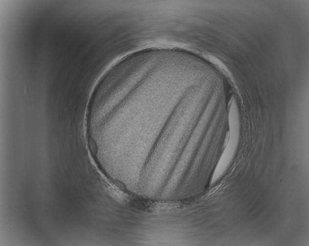 X0000071901183200608041335