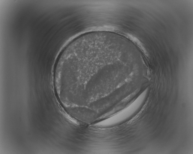 X0000071901184200608041335