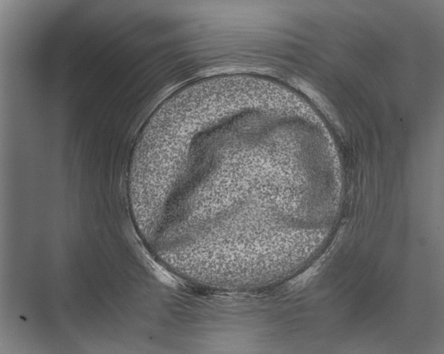 X0000071901185200608041335