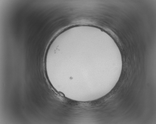 X0000071901191200608041335