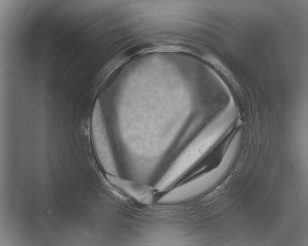 X0000071901193200608041335