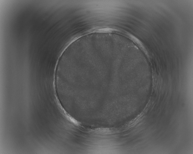 X0000071901194200608041335