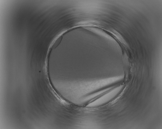 X0000071901196200608041335