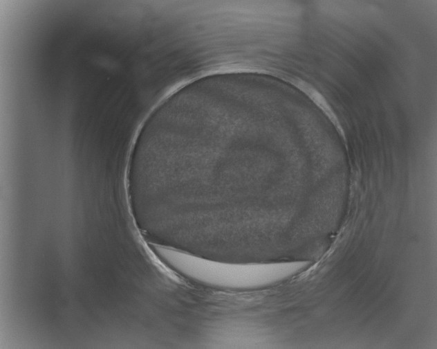 X0000071901197200608041335