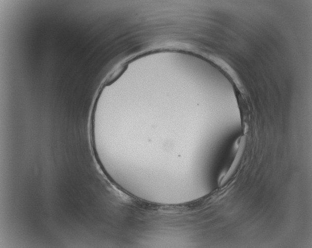 X0000071901199200608041335