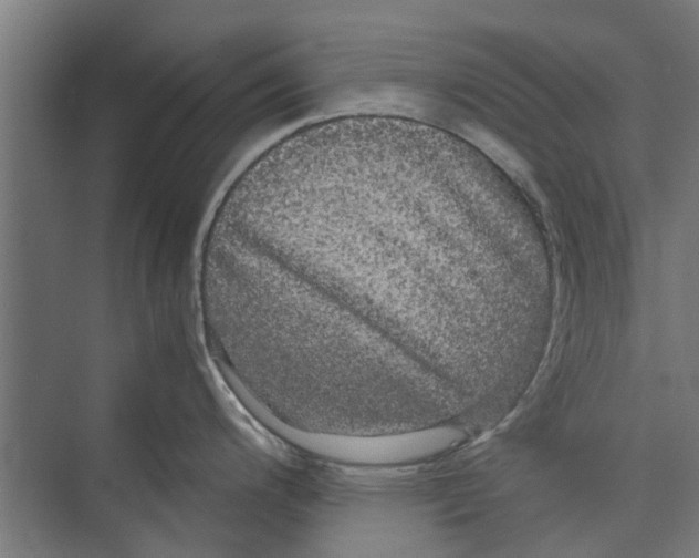 X0000071901200200608041335