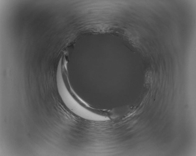 X0000071901202200608041334