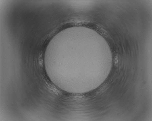 X0000071901204200608041334