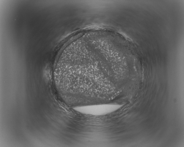 X0000071901206200608041334