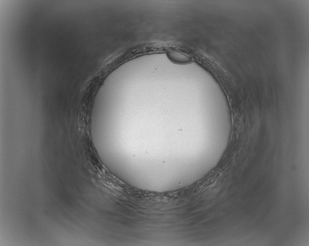 X0000071901207200608041334