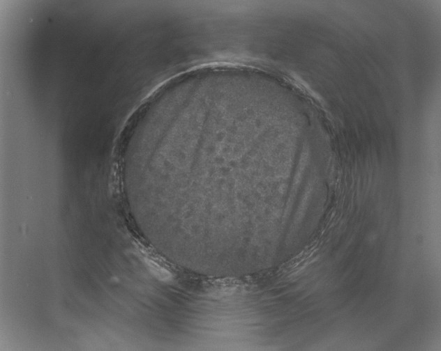 X0000071901208200608041334