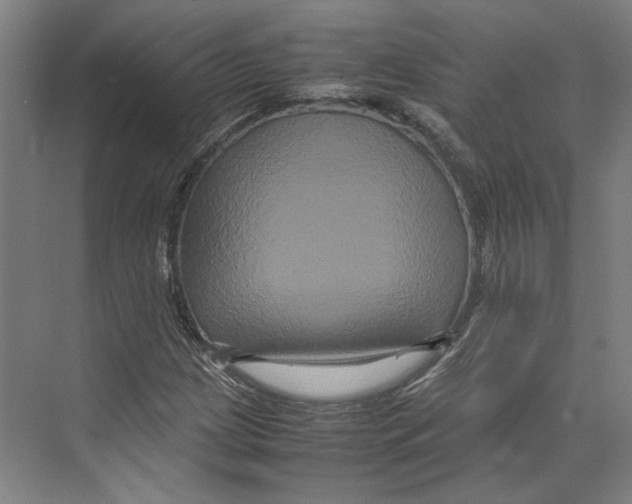 X0000071901209200608041334