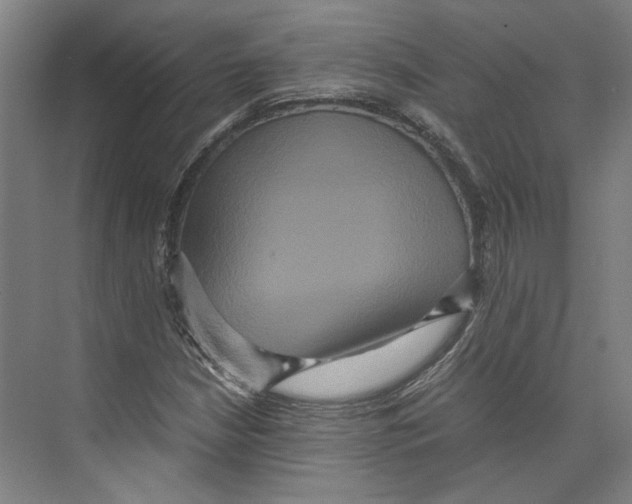 X0000071901210200608041334