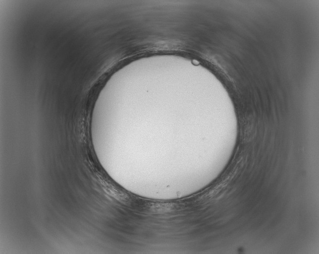 X0000071901211200608041334