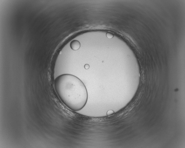 X0000071901212200608041334