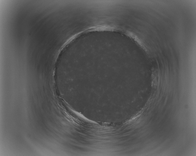 X0000071901213200608041334