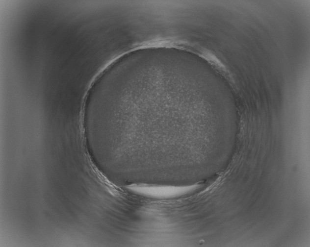 X0000071901216200608041334