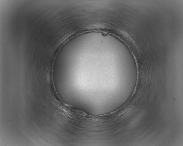 X0000071901217200608041334