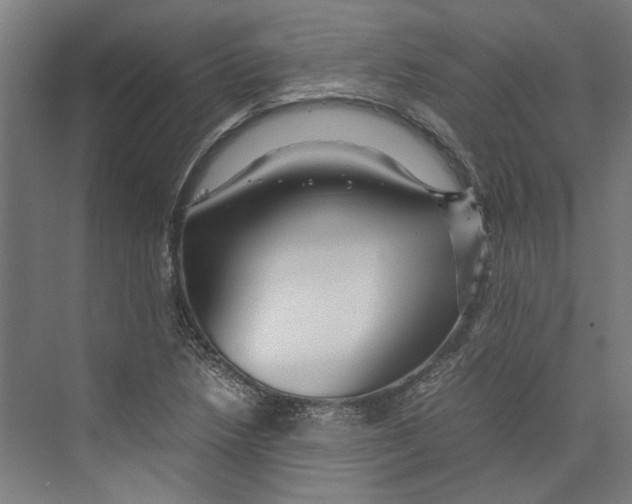 X0000071901218200608041334