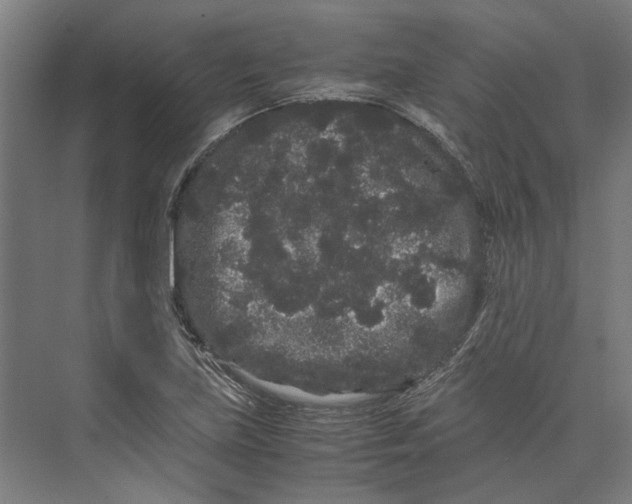 X0000071901219200608041334