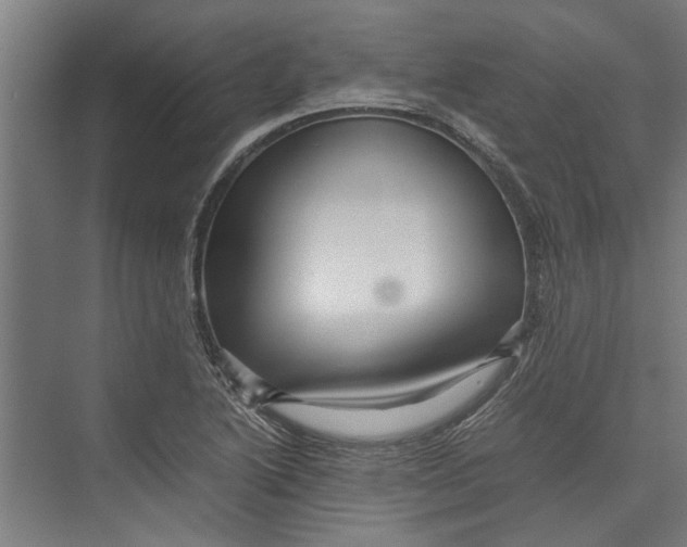 X0000071901222200608041334