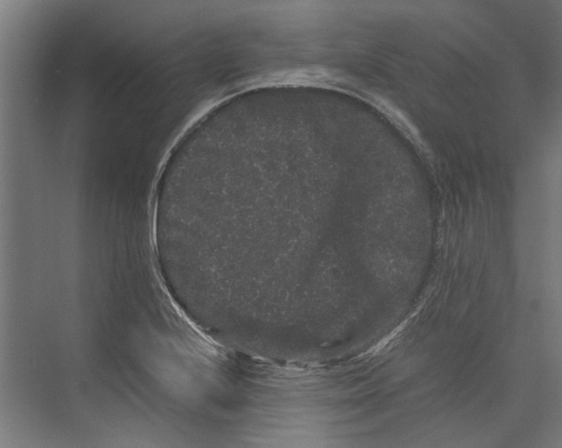 X0000071901224200608041334