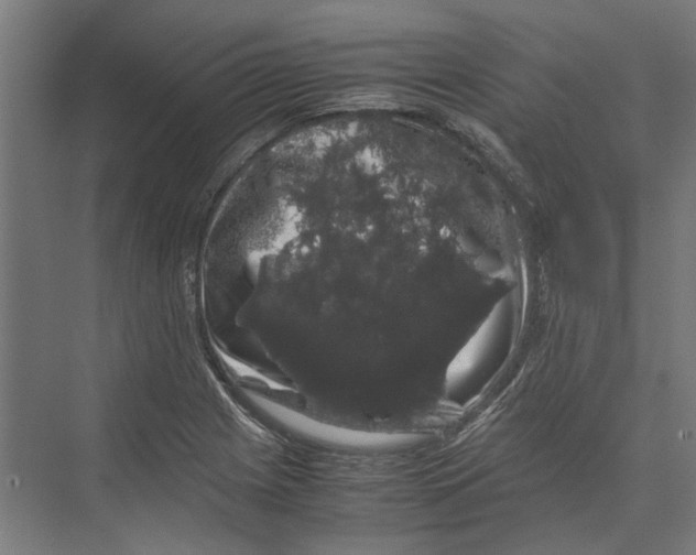 X0000071901225200608041334