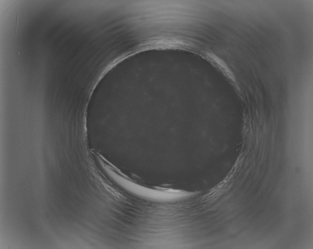 X0000071901226200608041334