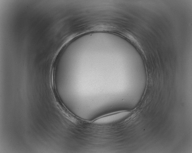 X0000071901227200608041334