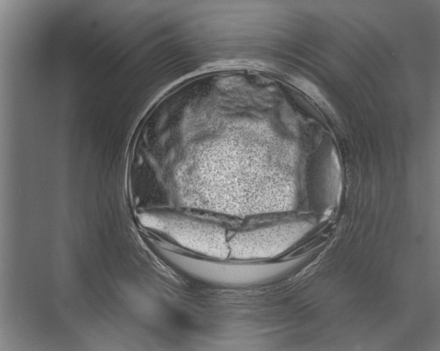 X0000071901228200608041334