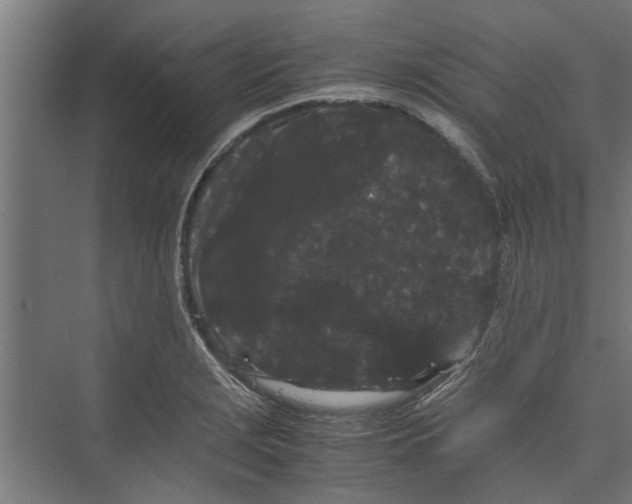 X0000071901229200608041334